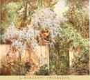 Primavera -     - Emporium - n 268 - Aprile 1917
