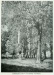 Splendori autunnali -     - Emporium - n° 198  - Giugno 1911