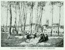 Cucitrici di vele a Viareggio -     - Emporium - n° 197  - Maggio 1911