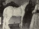Felice Carena - Cavallo bianco -   Olio su tela, 68x50