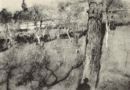 Prato con filari - 1902  Acquerello  - 