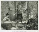Battaglia di fiori -     - Emporium - n 94 - Ottobre - 1902