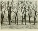 Montagna Sainte Victoire - 1885    - Dedalo - Rassegna d'arte diretta da Ugo Ojetti, Milano-Roma, 1920