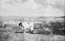 La vacca bianca -     - Emporium - nr 205-216 - 1912