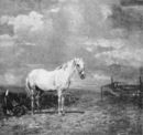 Il cavallo bianco -     - Emporium - nr 205-216 - 1912