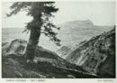 Tra i monti -     - Emporium - n° 196  - Aprile 1911