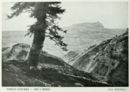 Tra i monti -     - Emporium - n 196  - Aprile 1911