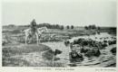 Bufali al guado -     - Emporium - n 196  - Aprile 1911