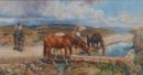 Cavalli all'abbeveratoio -   Acquerello, 34x63  - 