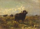 Bufali -   Olio su tela, 29x40  - Museo Nazionale della Scienza, Milano