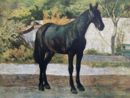 Giovanni Fattori - Cavallo morello - 1875 ca  Olio su tavola, 25.5x35.5