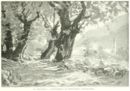 I castagneti di Roncegno (Valsugana) -     - Emporium - n° 249 - Settembre 1915