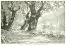 I castagneti di Roncegno (Valsugana) -     - Emporium - n 249 - Settembre 1915