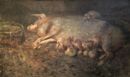 Scrofa con maialini - 1885-90  Olio su tela, 105x171.5  - Galleia d'Arte Moderna, Palermo