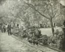 Max Liebermann - Giardino dell'ospedale in Edam -   