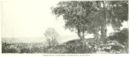 Campagna siciliana -     - Emporium - n 244 - Aprile 1915