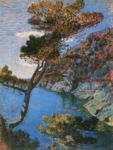 Paesaggio - 1905/06  Olio su tela 60x45  - Galleria d'Arte Moderna, Genova