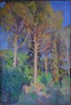 Pini di sera a Villa Strohl-Fern - 1917  Olio su cartone, 101x70  - 