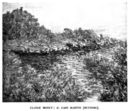Claude Monet - Il Capo Martin (Mentone) - 1883  