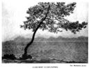 Claude Monet - Il Capo d'Antibes -   