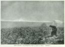 Illustrazione per il canto VI dell'Inferno -     - Emporium - n 326 - Febbraio 1922
