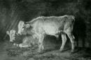 Due vitelli in riposo - 1867    - Emporium - nr 295 luglio 1919