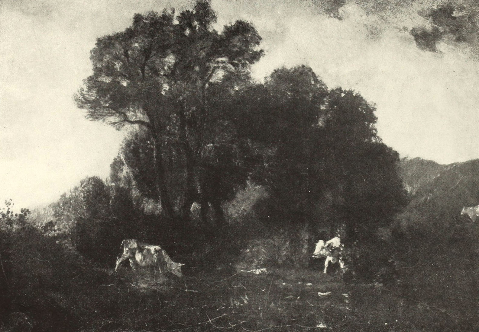Fontainebleau -   Olio su tela 37x26  - La raccolta Fiano - Galleria Pesaro - 1933