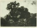 Giuseppe Palizzi - Fontainebleau -   