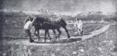Aratura nell'Engadina - 1890    - Emporium - n 15 Marzo 1896