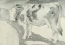 Giovanni Segantini - Vacca -   