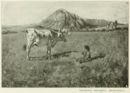 Telemaco Signorini - Pascolo a Pietramala - 1889 ca  
