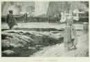 Il peccato -     - Emporium - n 85 - Gennaio - 1902