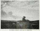Pasture in Maremma -     - Emporium - n° 197 - Maggio 1911